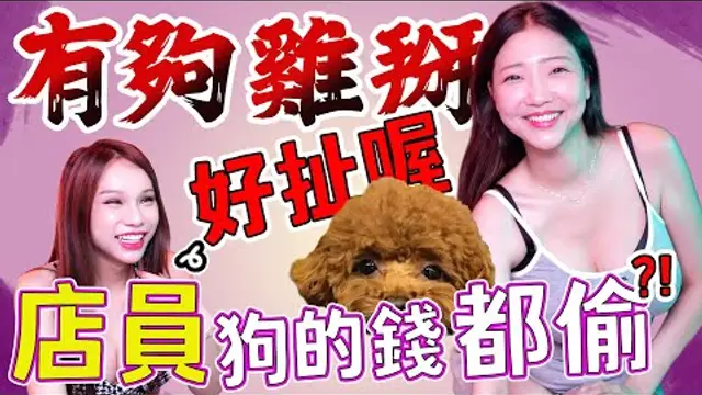 給妳錢僱用妳，居然還去跟狗搶吃的？！人類道德底線大探索！【Ａ辣大尺度】 EP62 小A辣