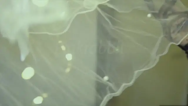 [粉紅兔]拍寫真居然也能被操屄屄被爆漿-精品力薦