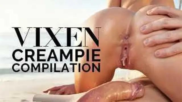 VIXENPLUS 暨填充彙編